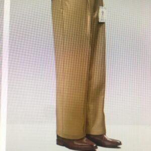 DRESS  PLEATED PANTS